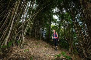 BIB: 
                            <button type="button" onclick="openModal(19396128)" class="btn btn-primary btn-sm float-right btn-popup" data-toggle="modal" data-target=".modal-high-quality">
                        <i class="fas fa-shopping-cart"></i> Add to Cart
                    </button>
                                            <button type="button" onclick="isThisMe(19396128, true)" class="btn btn-success btn-sm float-right btn-popup btn-isme hidden" data-toggle="tooltip" data-placement="bottom" title="นี่คือรูปของคุณใช่ไหม คลิกที่นี่เพื่อเอาเข้าอัลบั้ม">
                        <i class="fas fa-plus"></i> Add to album
                    </button>
                    <button type="button" onclick="isThisMe(19396128, false)" class="btn btn-warning btn-sm float-right btn-popup btn-isnotme hidden">
                        <i class="fas fa-ban"></i> Remove from album
                    </button>